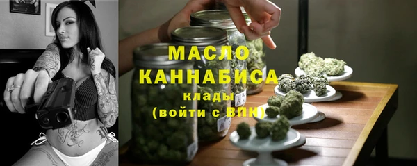 гидра Вязьма