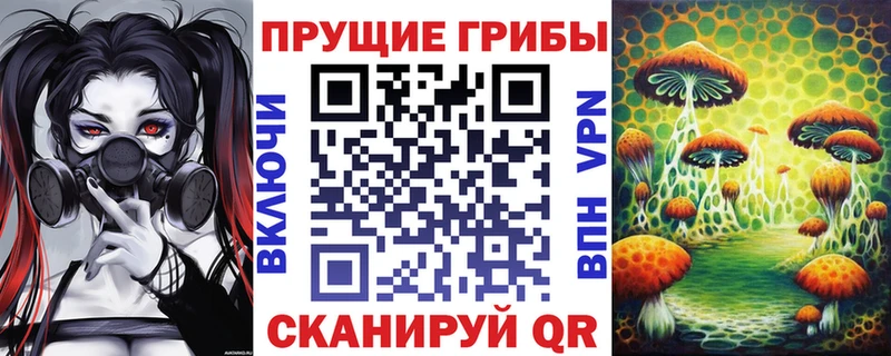 Псилоцибиновые грибы GOLDEN TEACHER  OMG tor  Вятские Поляны 