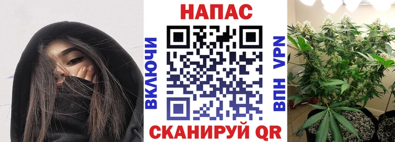 Конопля Amnesia MEGA ссылка Вятские Поляны
